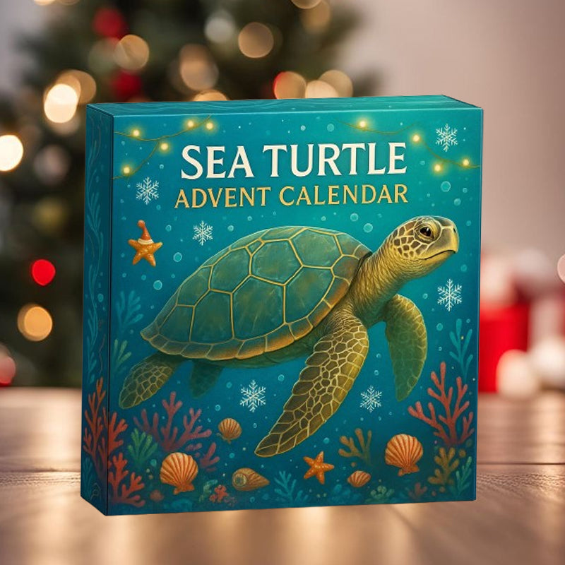 Turtle Advent Calendar 2025