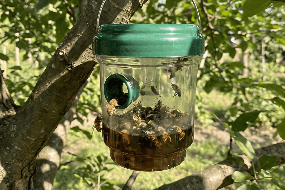 Solar Hanging Wasp Trap & Fly Catcher