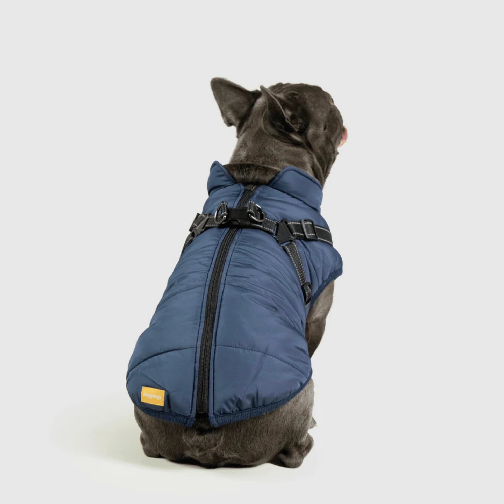 DoggyKings™ Dog Jacket with Harness - Waterproof & Warm (3-in-1 Design)