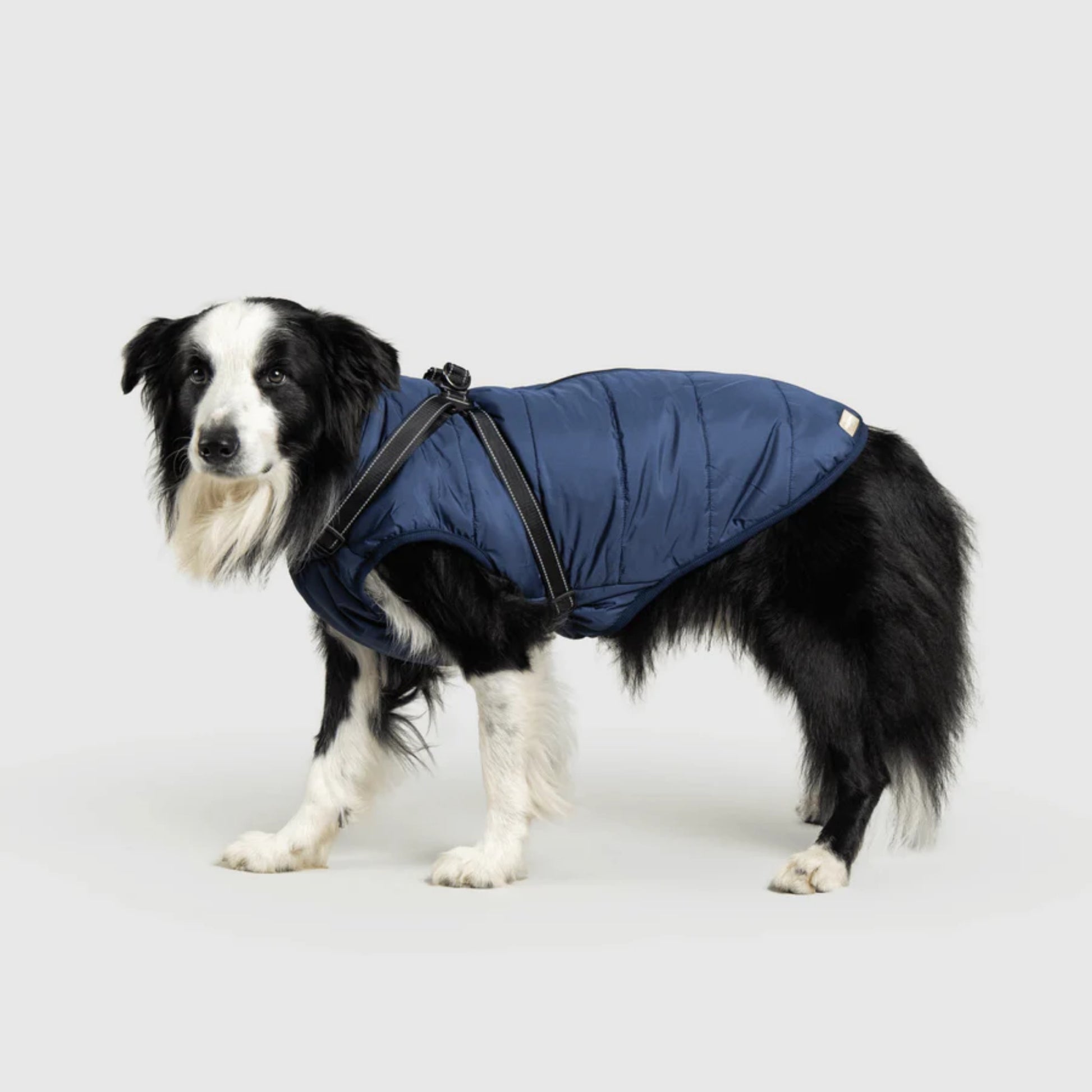 DoggyKings™ Dog Jacket with Harness - Waterproof & Warm (3-in-1 Design)