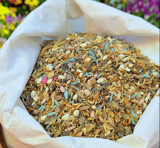 Colorful Seed Mix – 60+ Species (1000 Seeds)