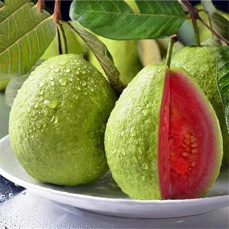 Organic Pink Guava Seeds - 60 Pieces