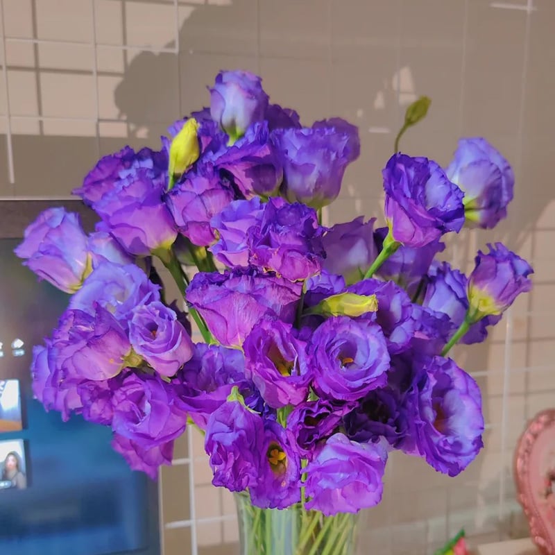Eustoma Thornless Rose Seeds (100 pieces) 💐Lisianthus seeds