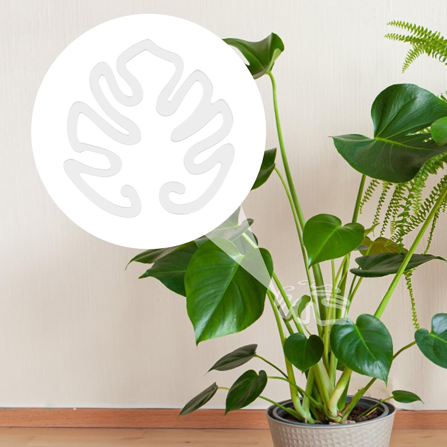 Transparent Acrylic Plant Trellis, Monstera Leaf Shape | Invisible Indoor Plant Support (Set of 5)