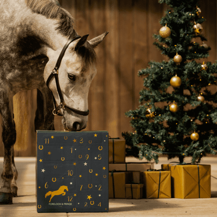 The Luxury Advent Calendar for Horse Lovers (2025)