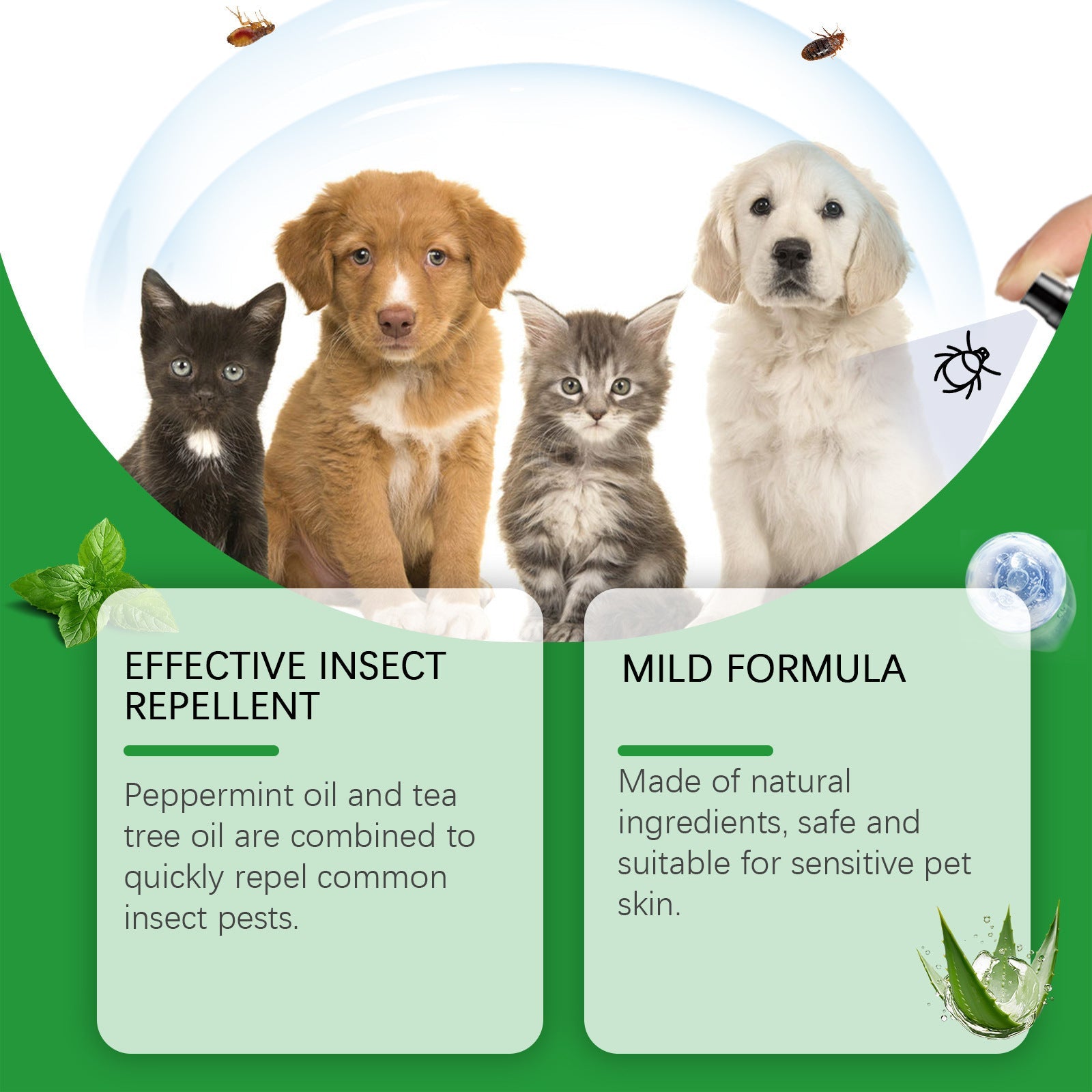 Natural Flea and Tick Protection Spray 🐱🐶