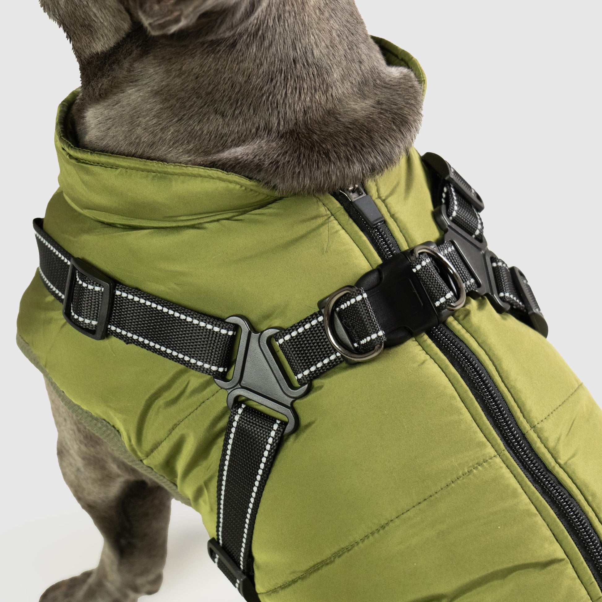 DoggyKings™ Dog Jacket with Harness - Waterproof & Warm (3-in-1 Design)
