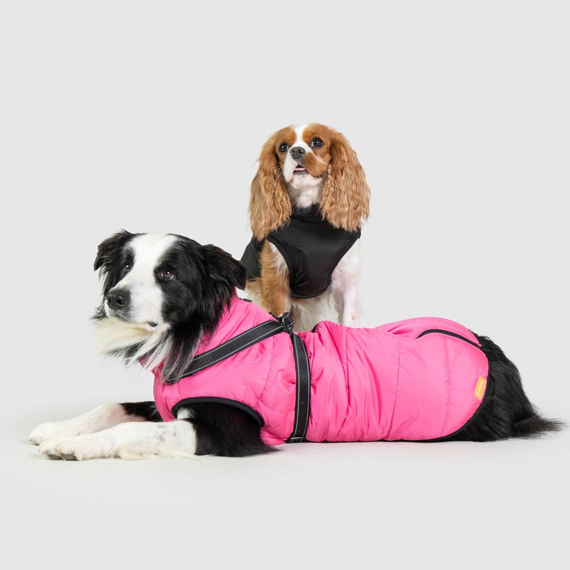 DoggyKings™ Dog Jacket with Harness - Waterproof & Warm (3-in-1 Design)