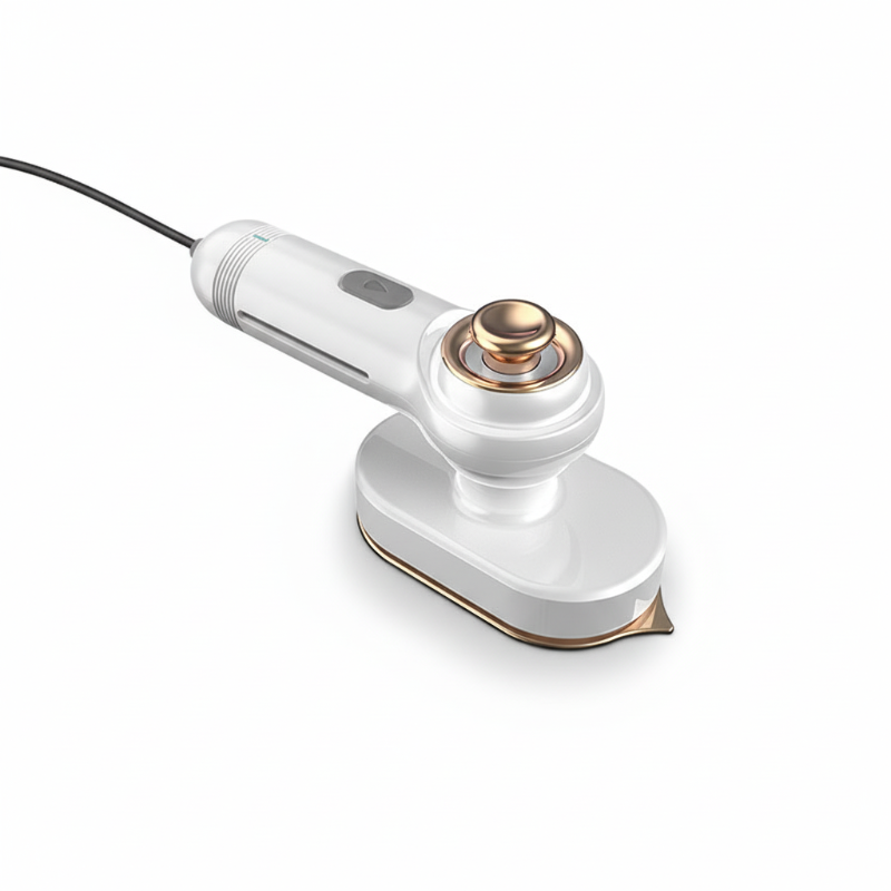 Professional Handheld Garment Steamer