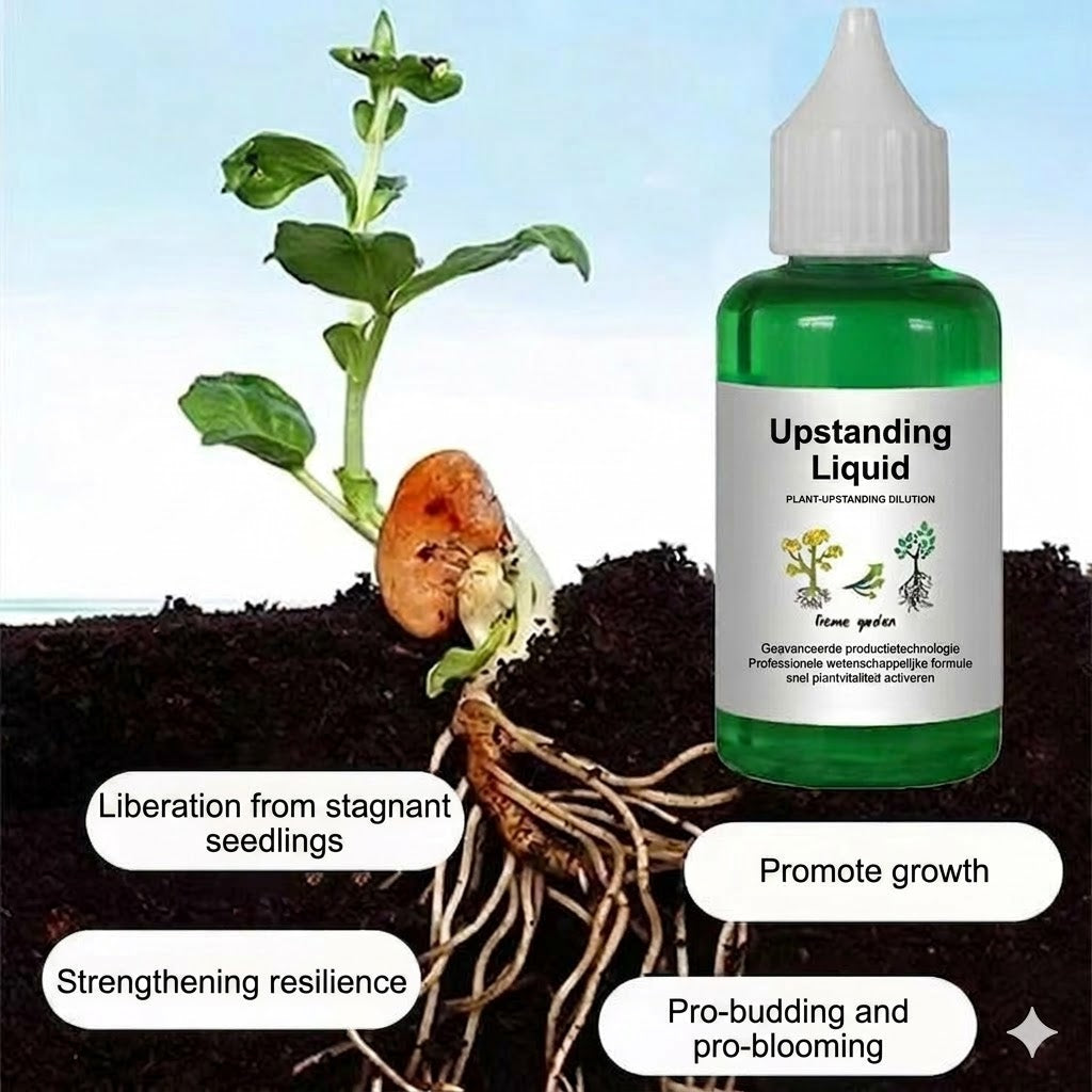 Plant Nutrient Solution