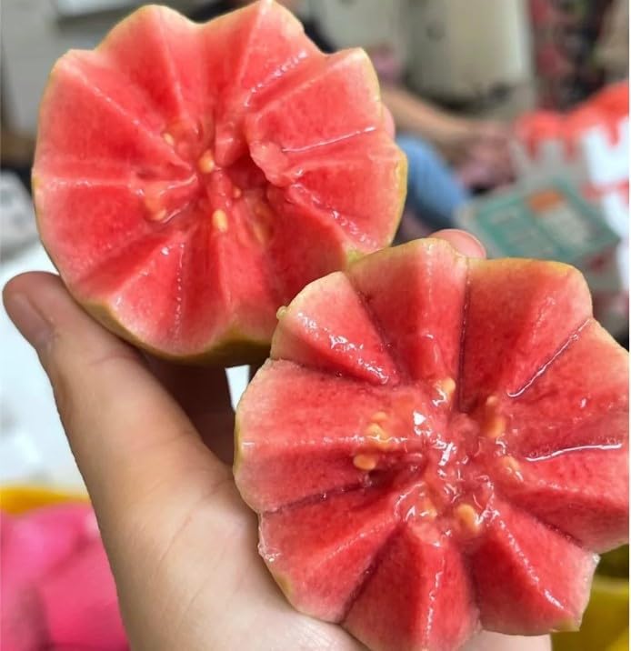 Organic Pink Guava Seeds - 60 Pieces