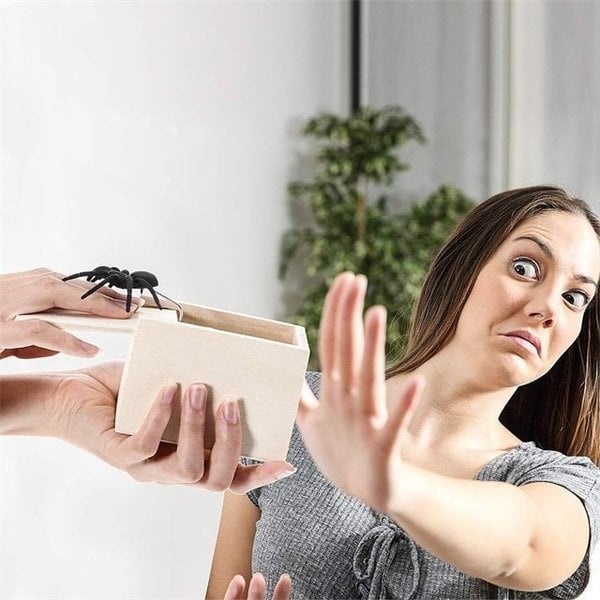 Funny Spider Prank Box