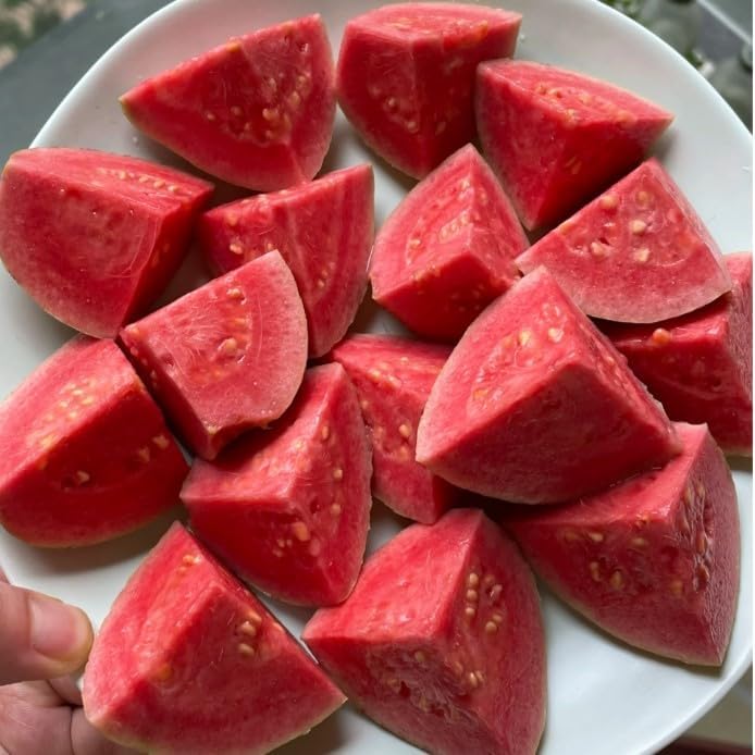 Organic Pink Guava Seeds - 60 Pieces