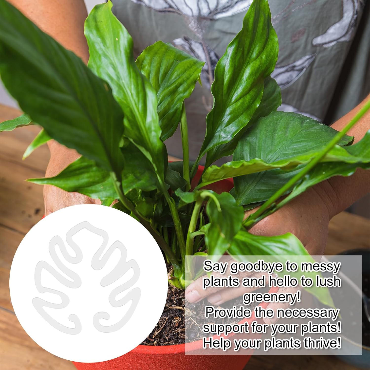 Transparent Acrylic Plant Trellis, Monstera Leaf Shape | Invisible Indoor Plant Support (Set of 5)