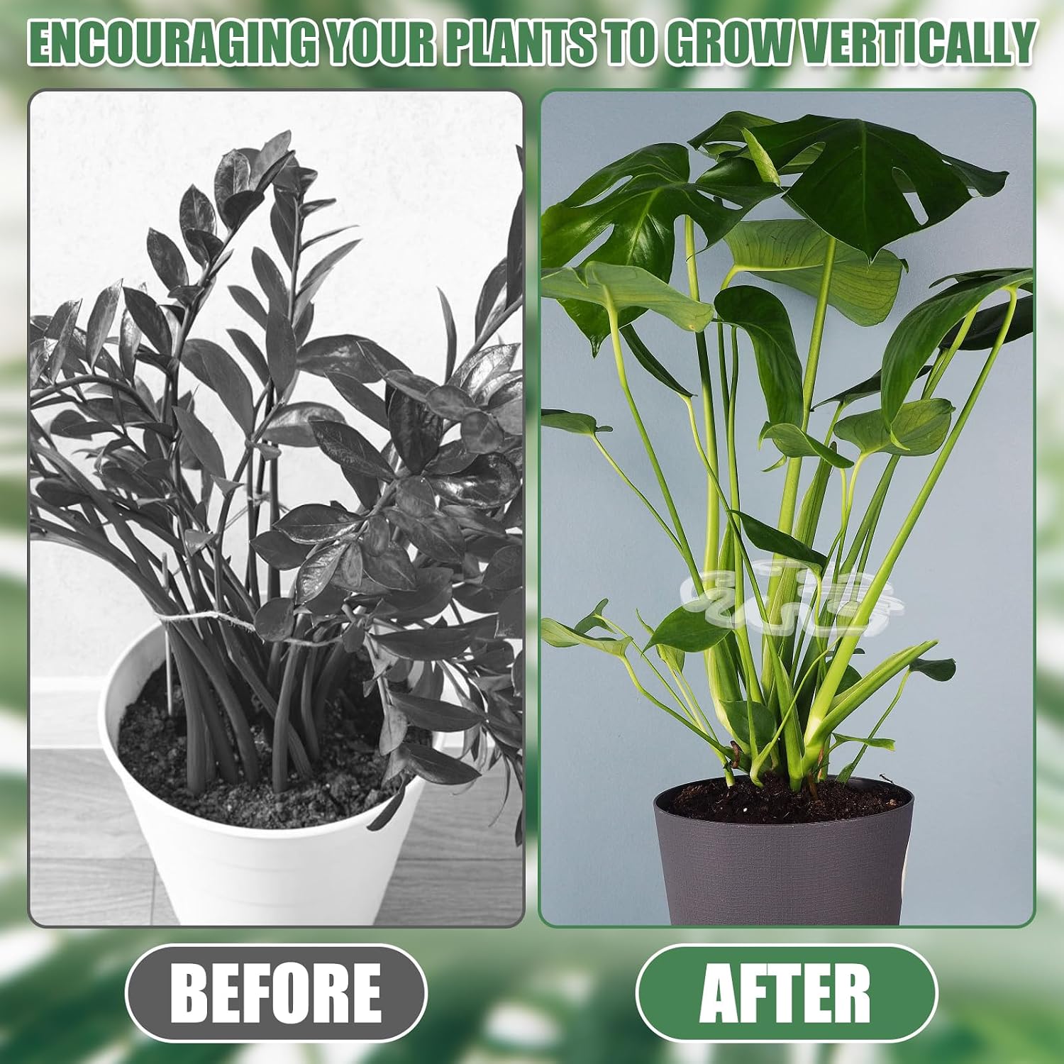 Transparent Acrylic Plant Trellis, Monstera Leaf Shape | Invisible Indoor Plant Support (Set of 5)