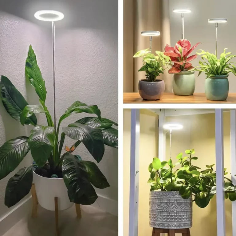 Full-Spectrum LED Grow Light