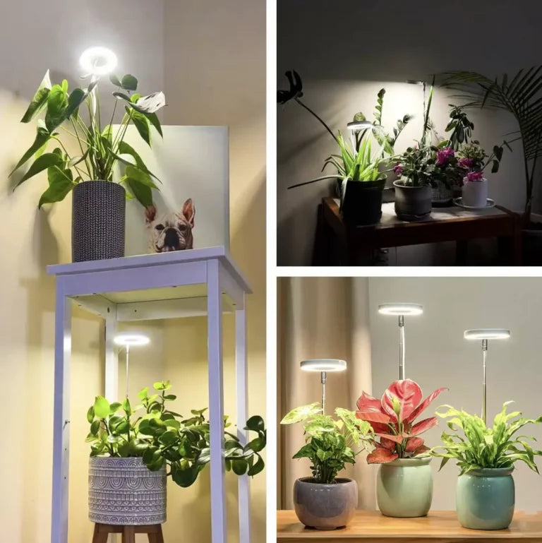 Full-Spectrum LED Grow Light