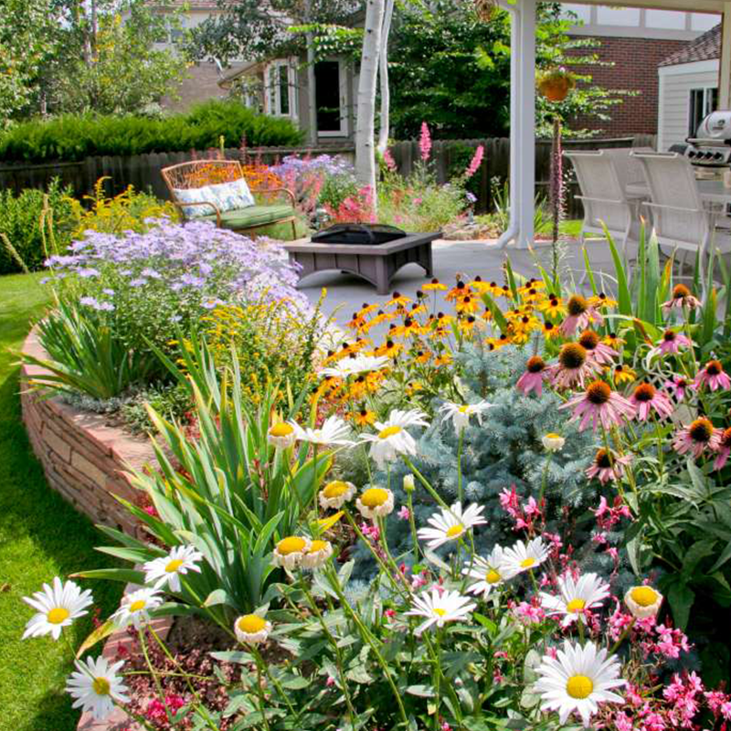 Colorful Seed Mix – 60+ Species (1000 Seeds)
