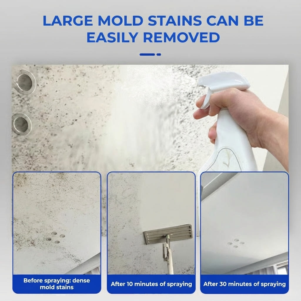 Powerful Mold Remover Spray (Immediate Results)