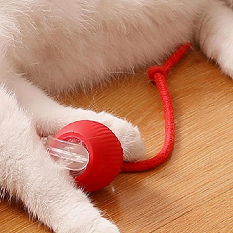 Smart Interactive Pet Play Ball