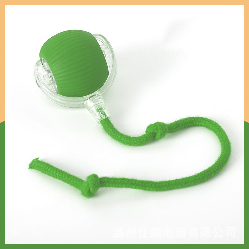 Smart Interactive Pet Play Ball