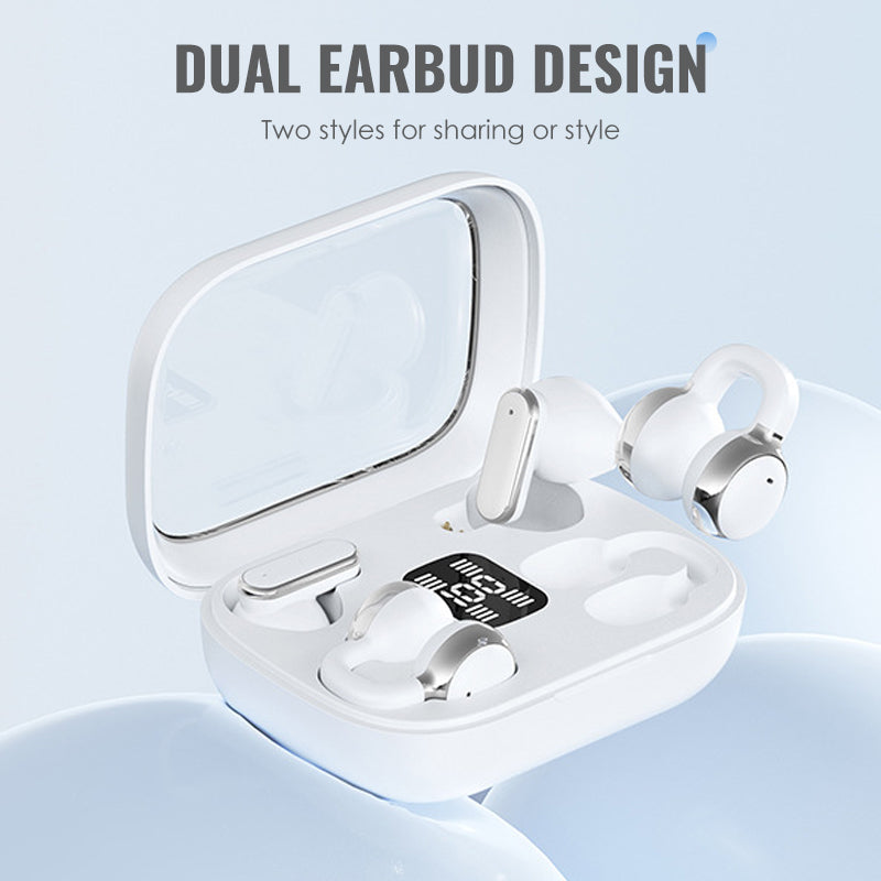 4-in-1 Wireless Earbuds with LED Powerbank Case