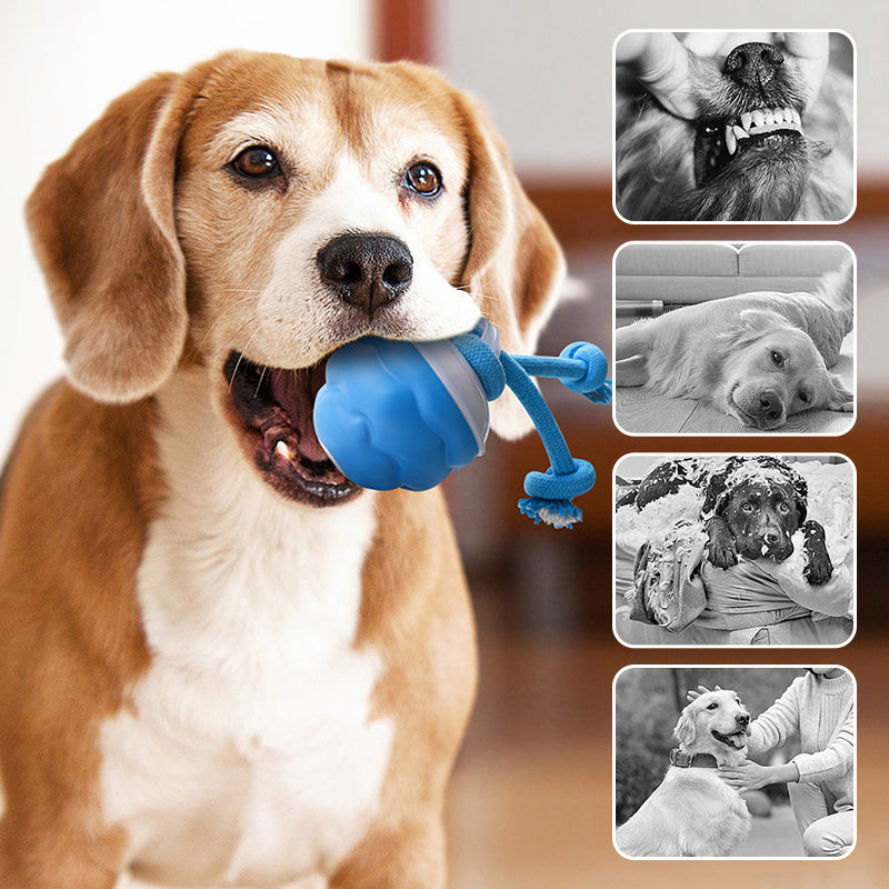 Smart Automatic Pet Play Ball