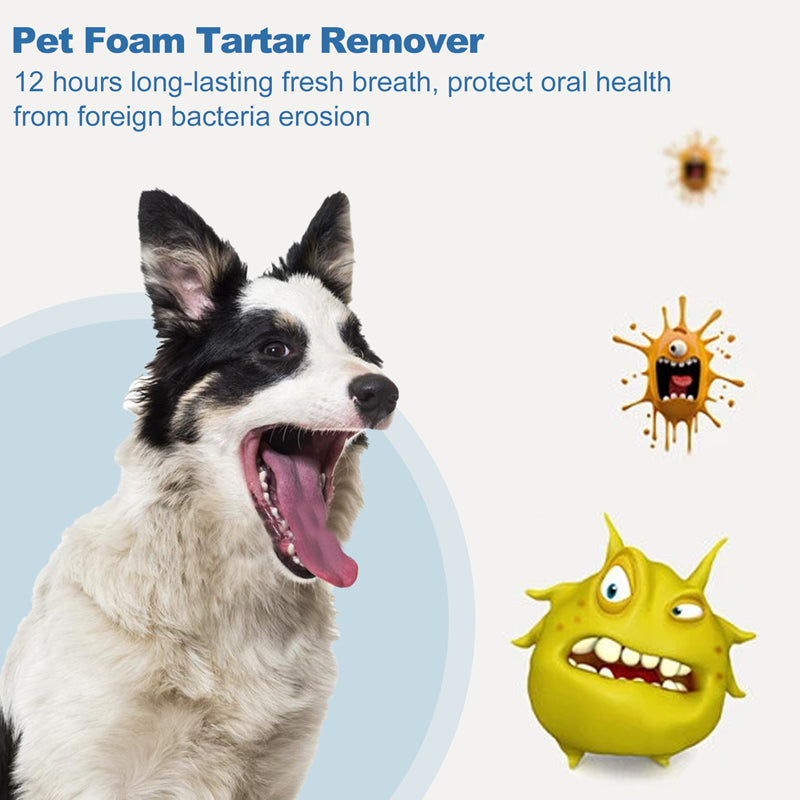 🐶🐱 Tartar Remover Foam for Dogs